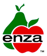 Enza